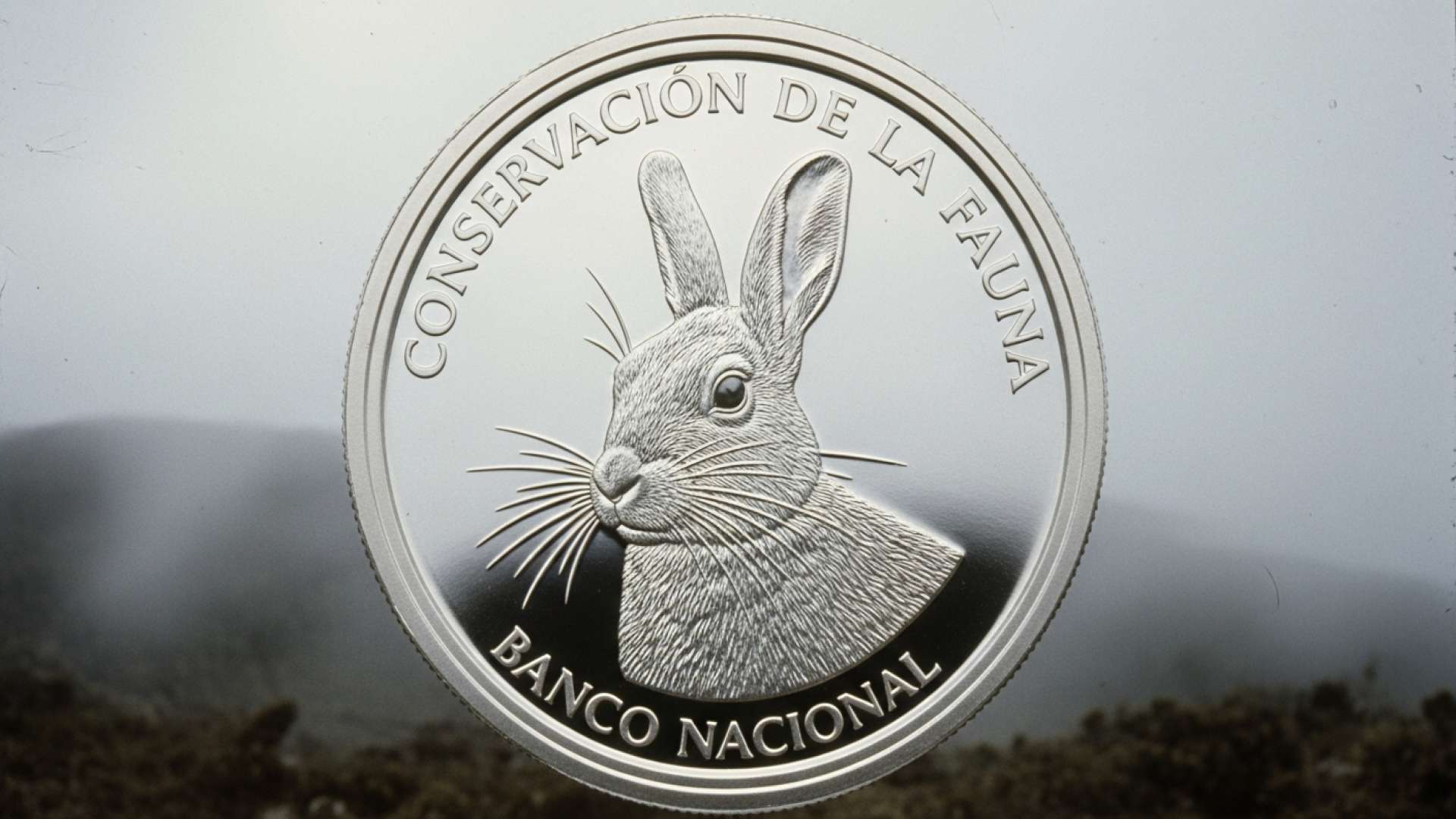 バンコ・ナシオナル、固有種の山岳ウサギを称える新硬貨を発行